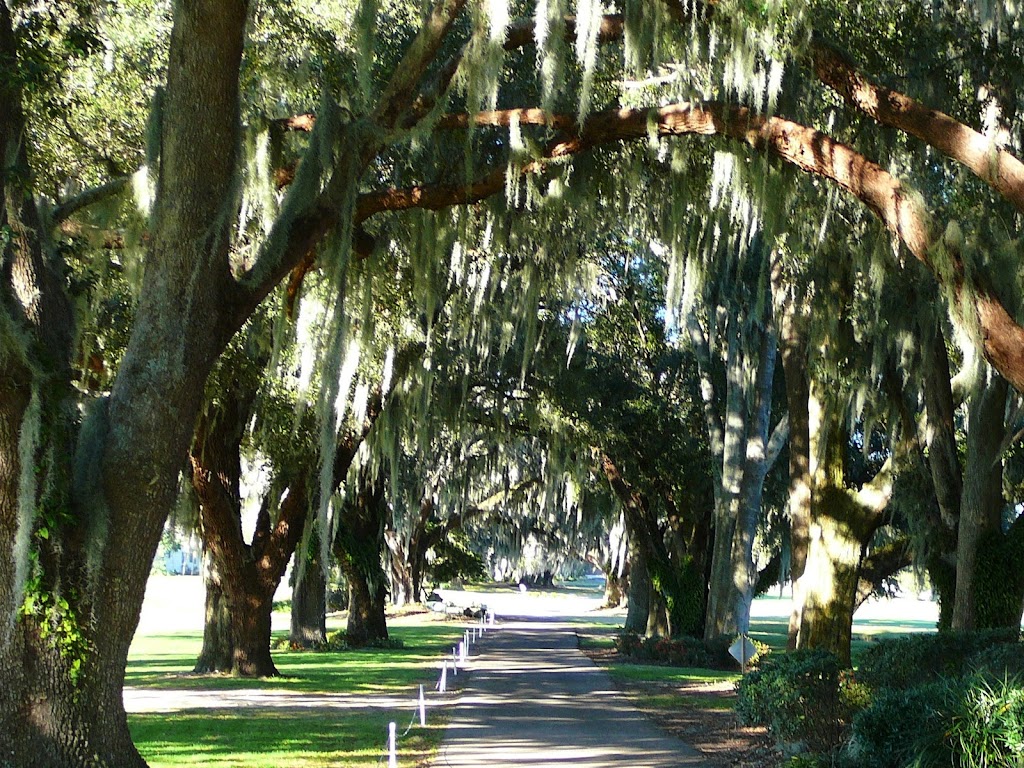  The Links at Spruce Creek South