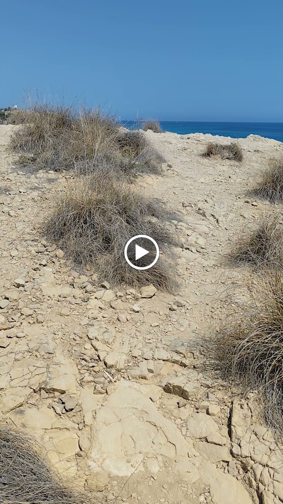Playa paraiso — Videos