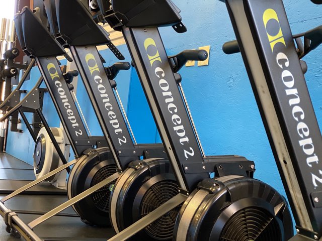  Iron Bear Strength and Conditioning