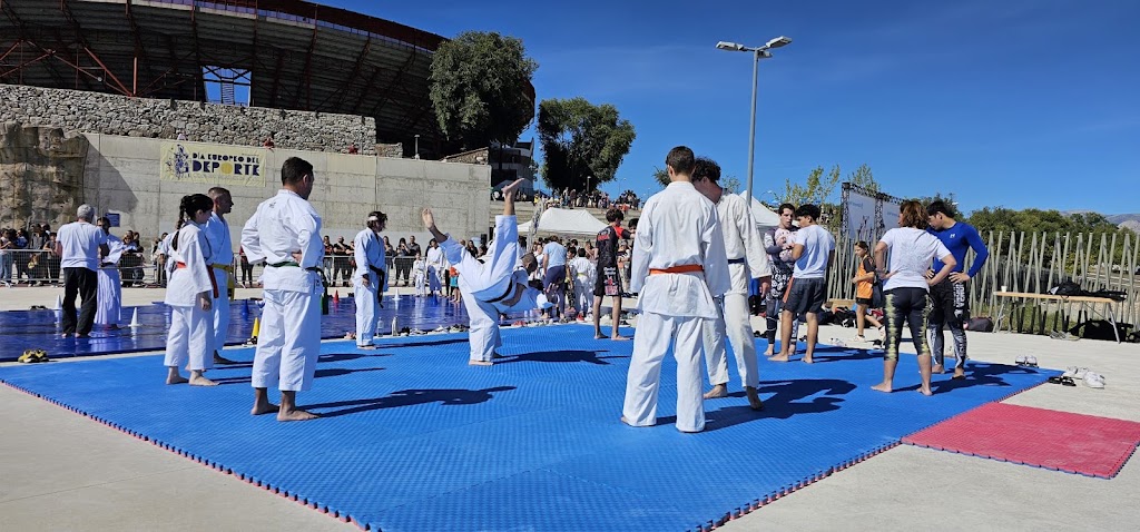 Shotokan Karate Colmenar Viejo (Club Bushido) — Del propietario