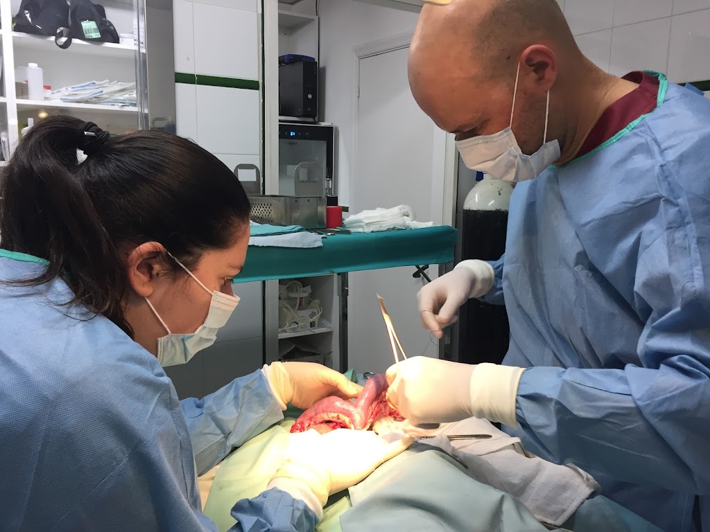 Centro Veterinario de Marin