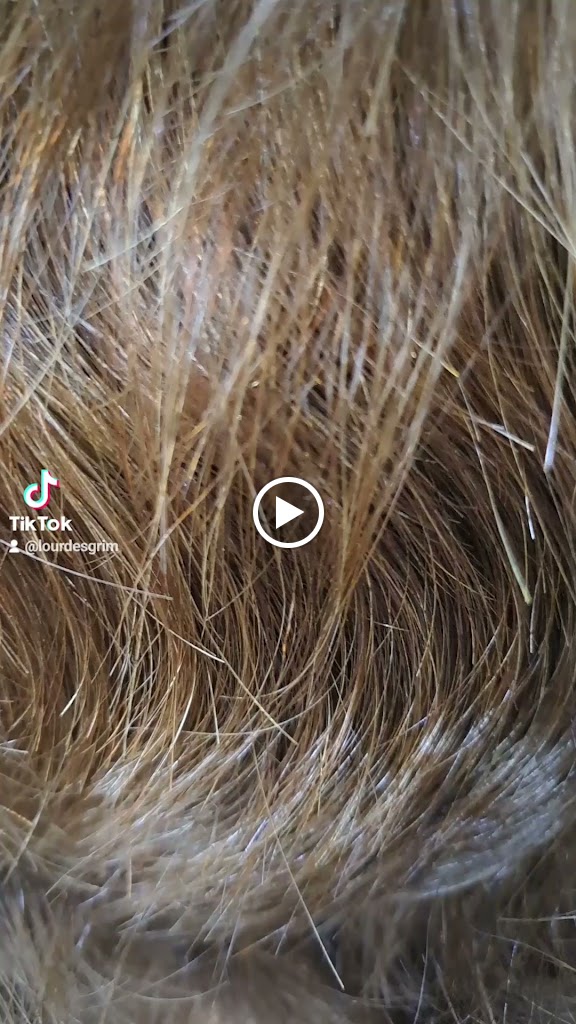 Carmen Garcia Peluqueria y Estilistas — Videos