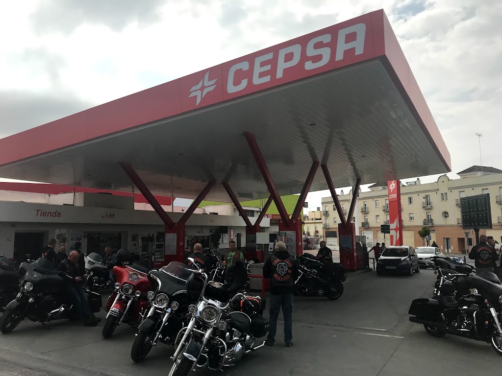 Estacion de servicio Cepsa — Surtidor de combustible