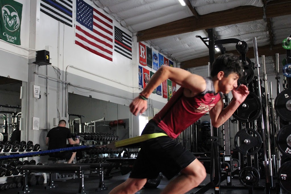  Functional Muscle Fitness