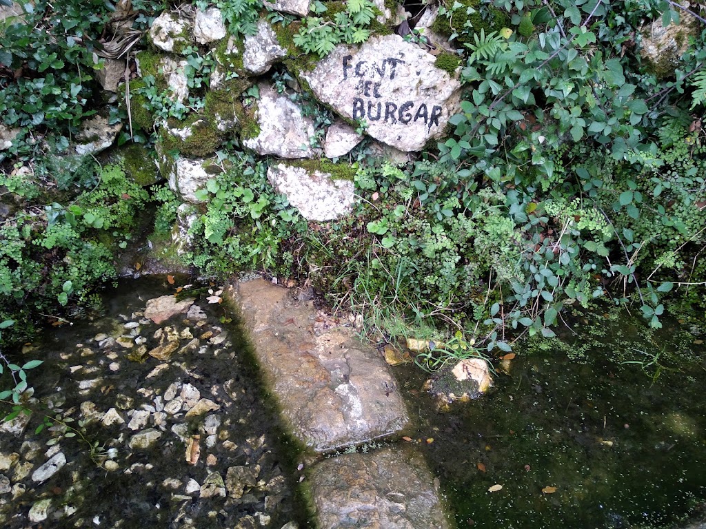 Montsianell — Fuente del Burgar