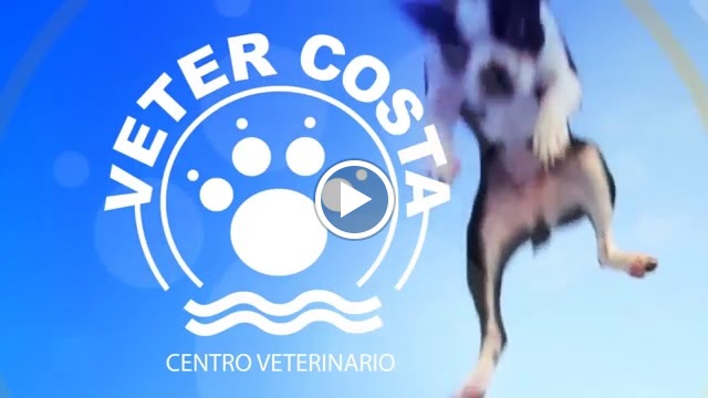 Centro Veterinario Vetercosta — Del propietario