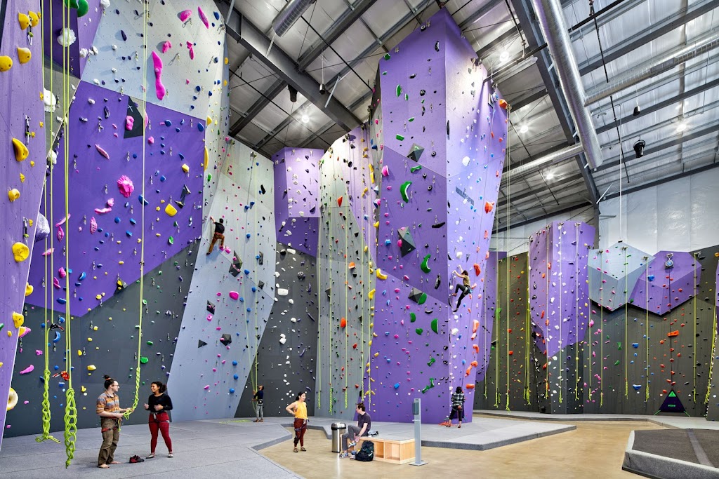  DYNO Detroit Climbing