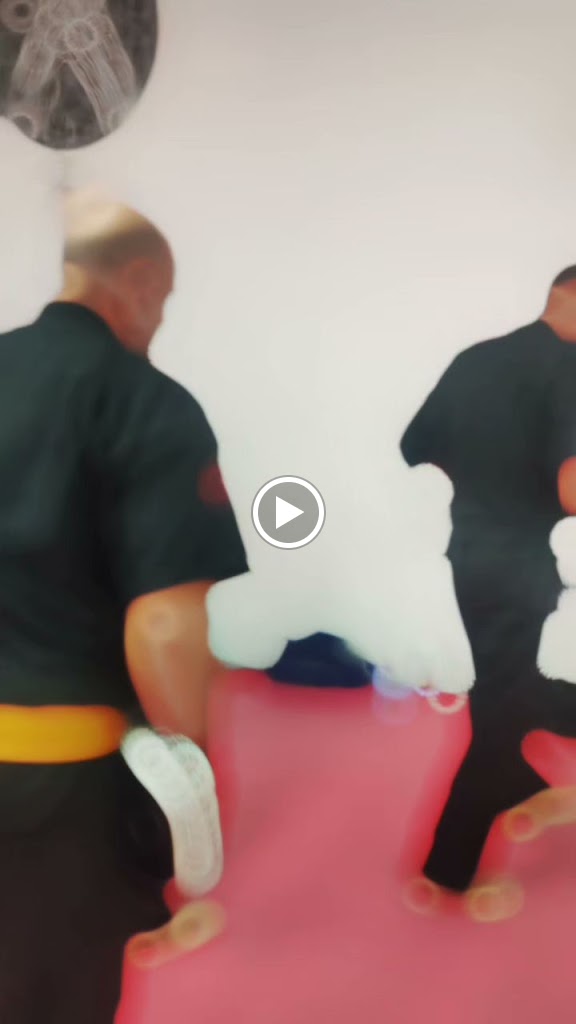 Kenpo Kenjukabo Self Defense Academia Chuan-Fa — Videos