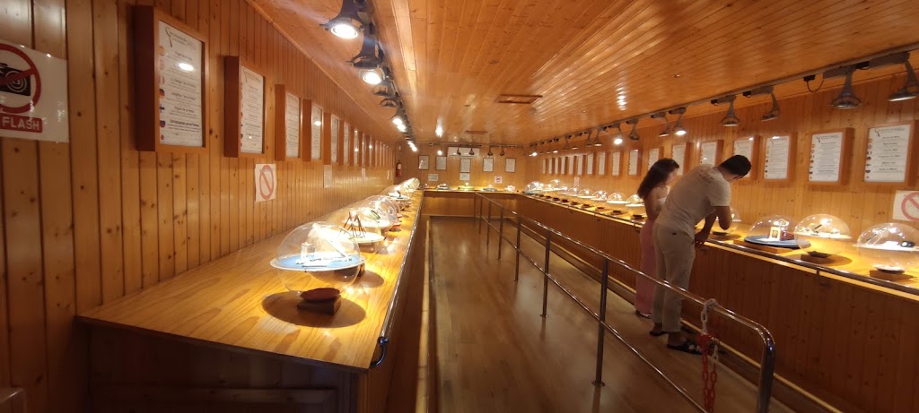Wificar — Interior