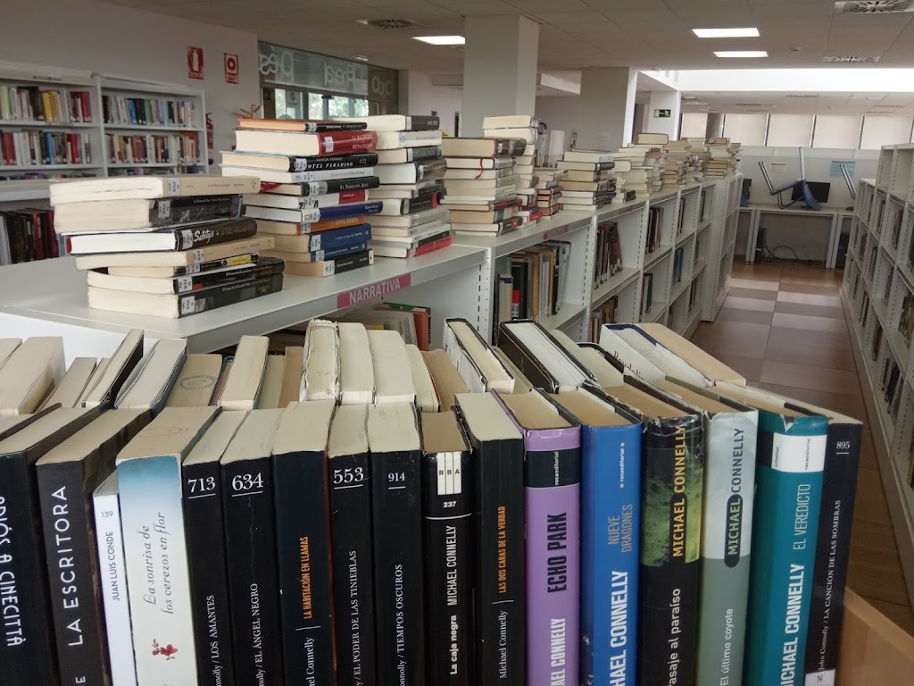 Biblioteca Publica Municipal de Ciempozuelos. — Estante
