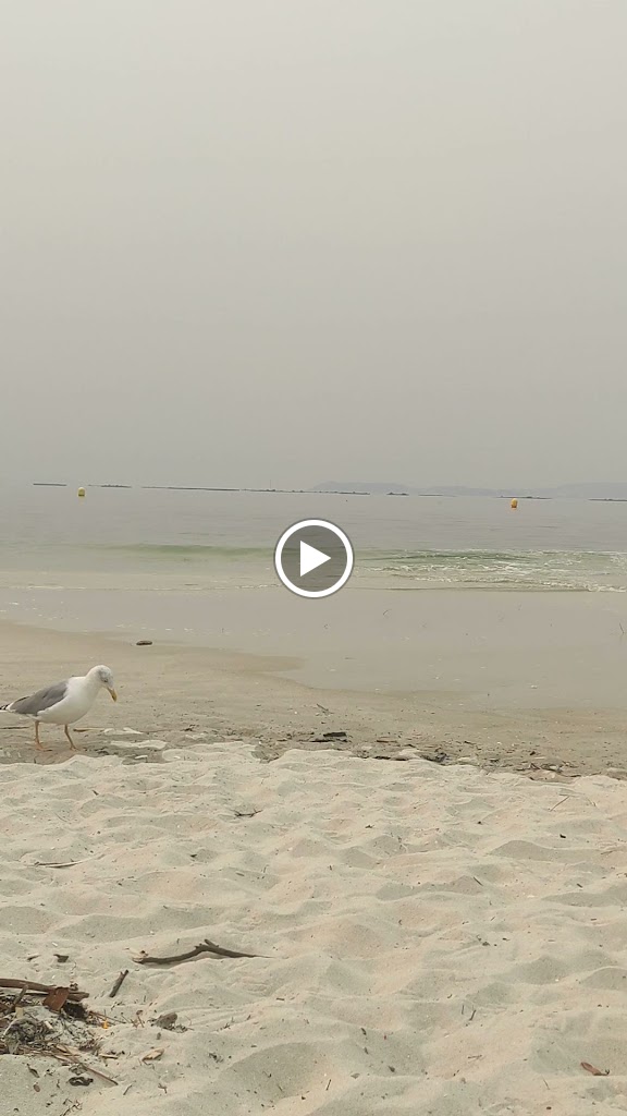 Arrieiro playa Lapaman — Videos