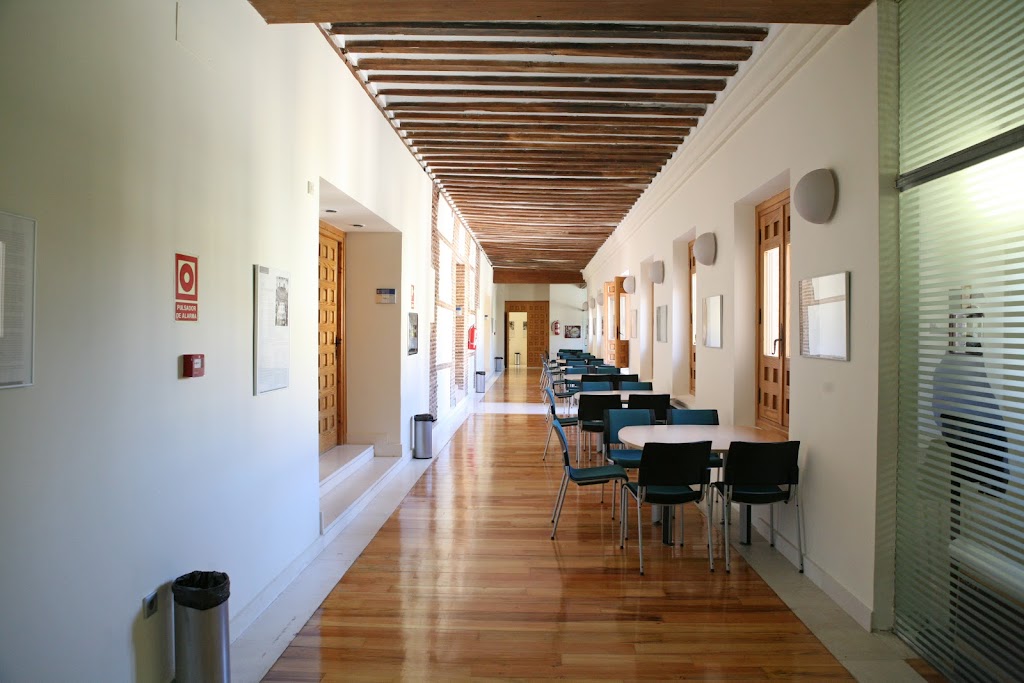 Universidad de Alcala * Alcalingua