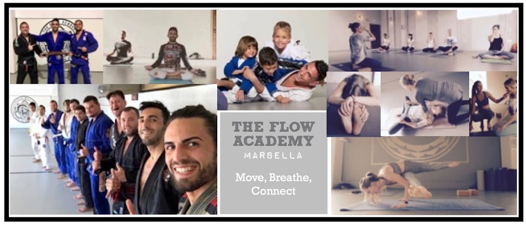 The Flow Academy — Del propietario