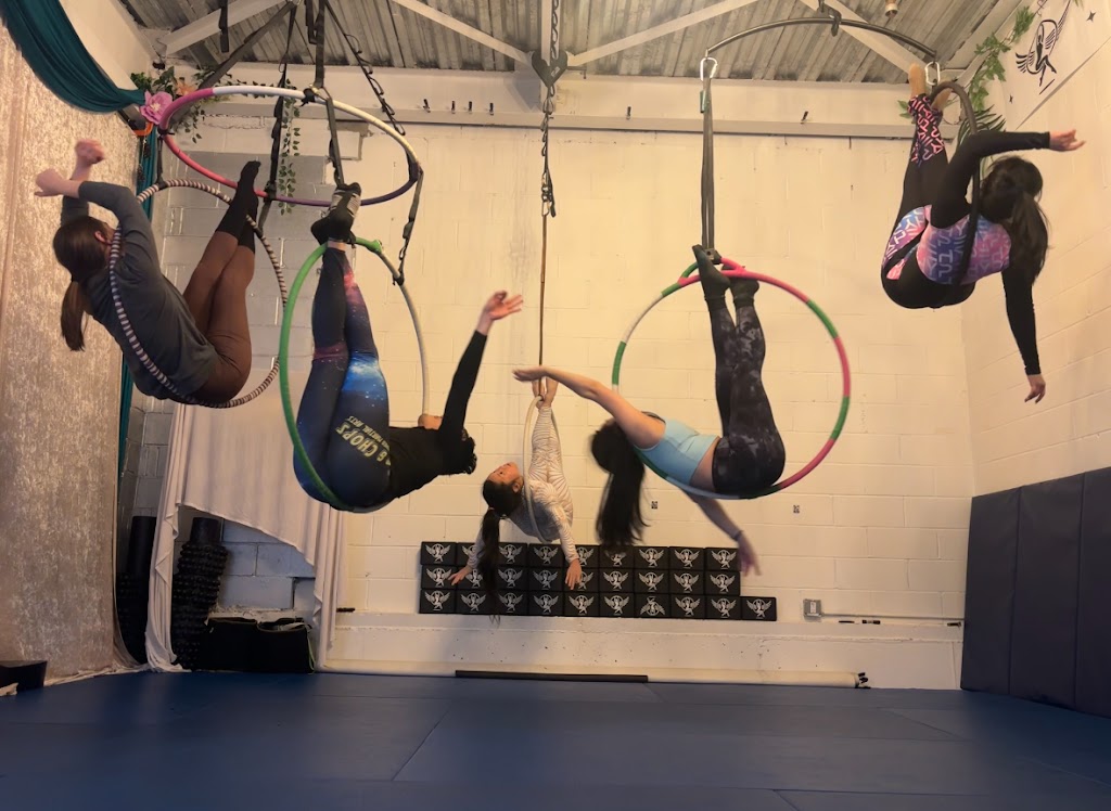  Tiger Mom Aerial Hoop Studio