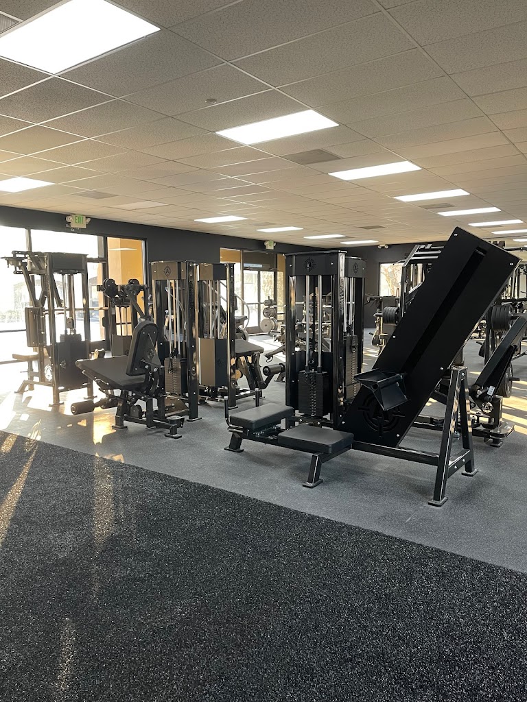  The Den Barbell Academy