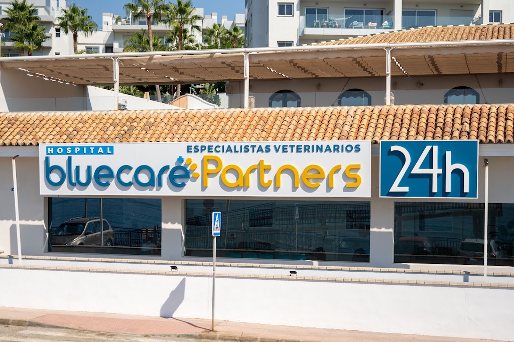 Hospital Veterinario 24h Bluecare Partners — Del propietario