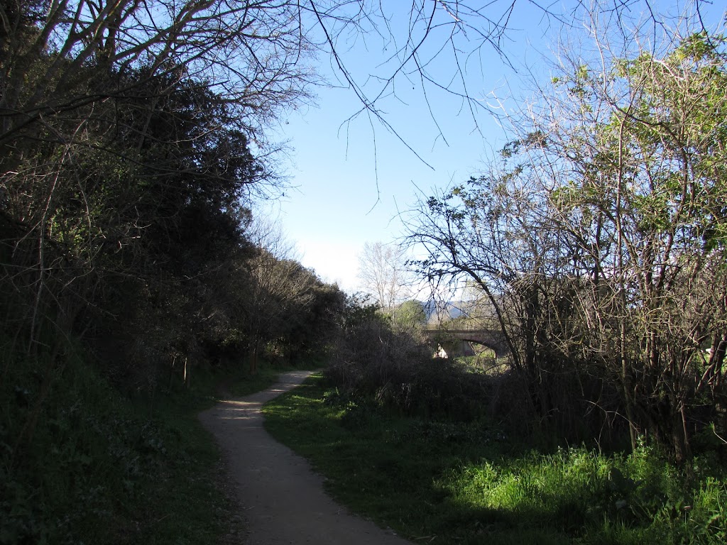 Camino Real de San Antonio