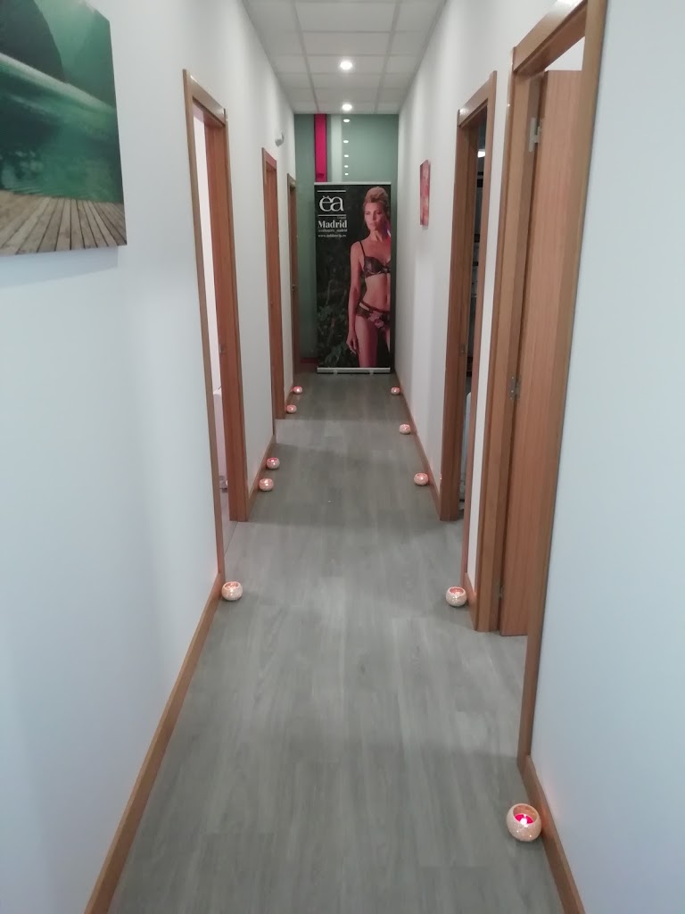 Danus estetica — Interior