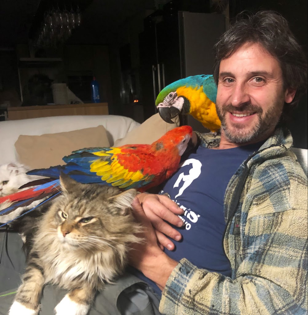 Clinica Veterinaria Peludines