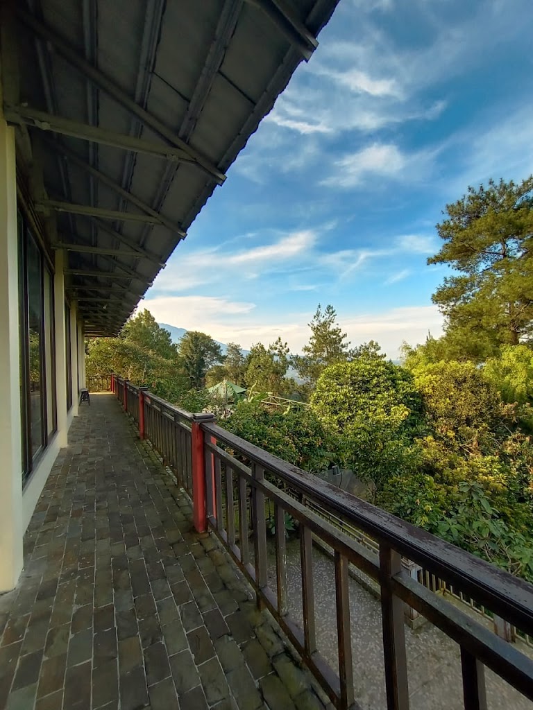 Tempat Kemping Outbound Eagle Hill Megamendung Puncak Bogor