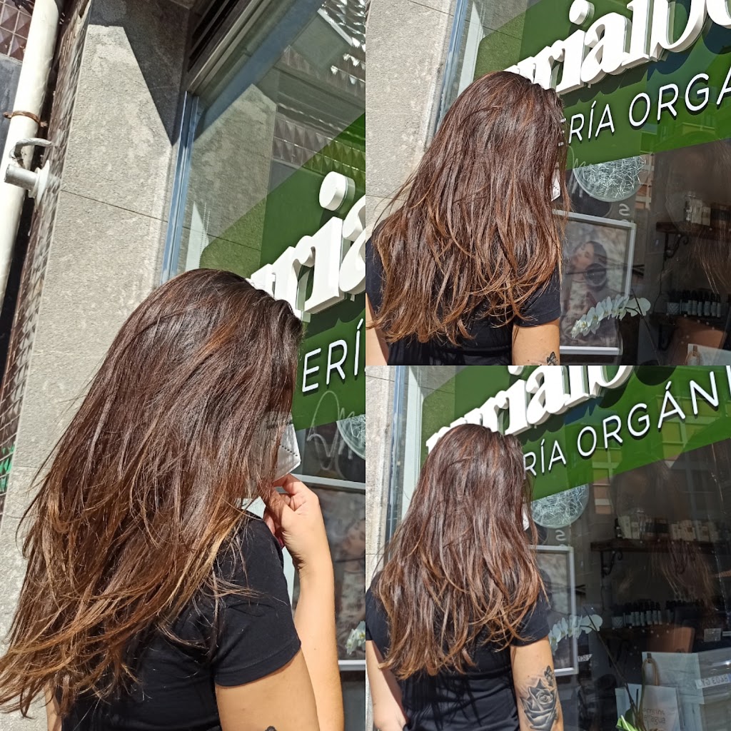 Nuria Ibeas Peluqueria y Estetica Saludable — Peinado