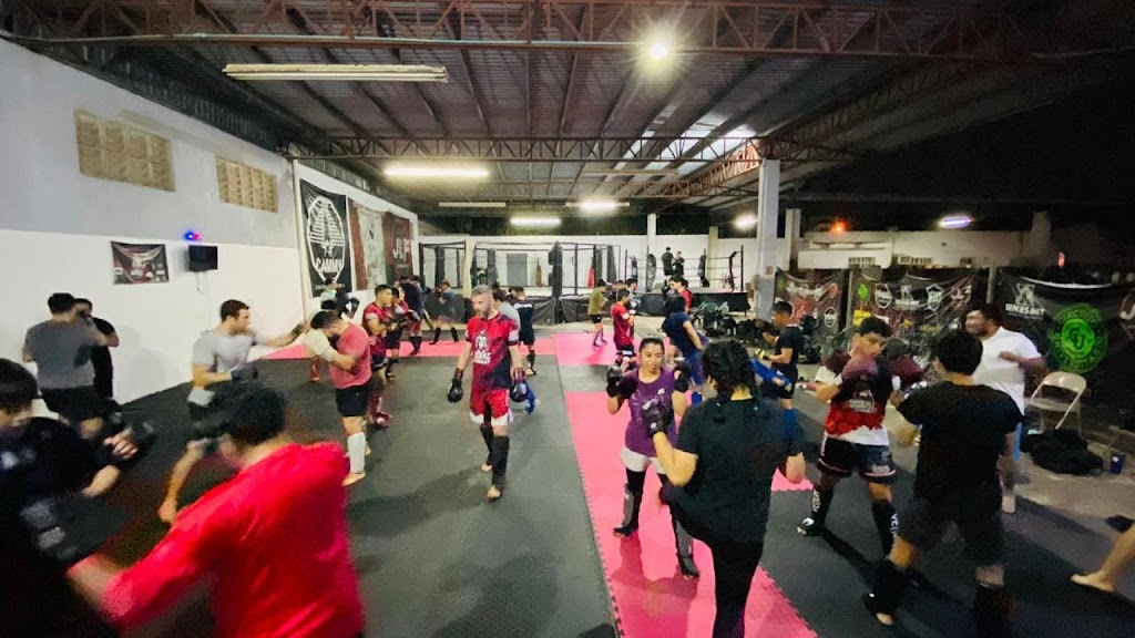 Great North Combat MMA MERIDA