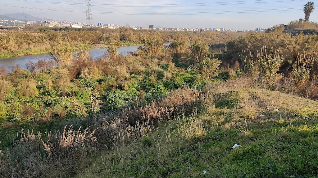 Parque Fluvial Sant Vicenc dels Horts Sur