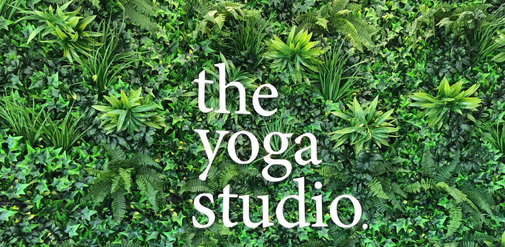  the yoga studio.
