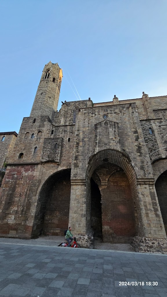Torre del palau reial