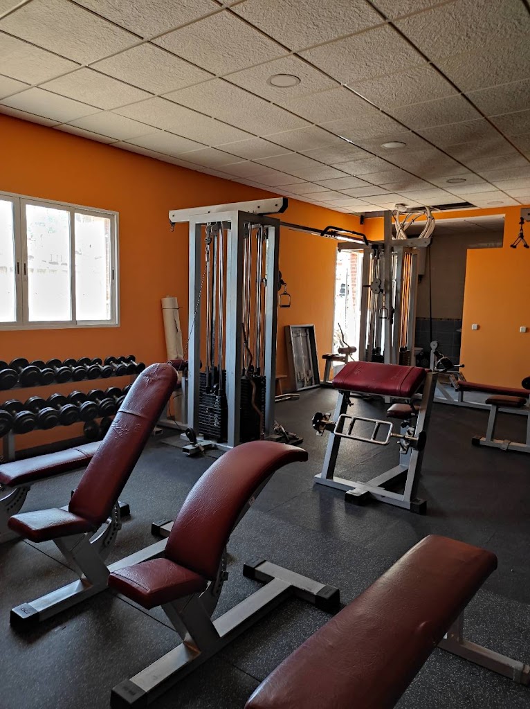 SYLVER GYM ALGETE