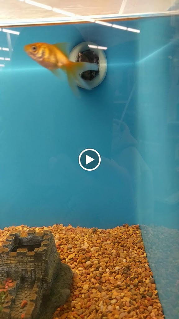Videos