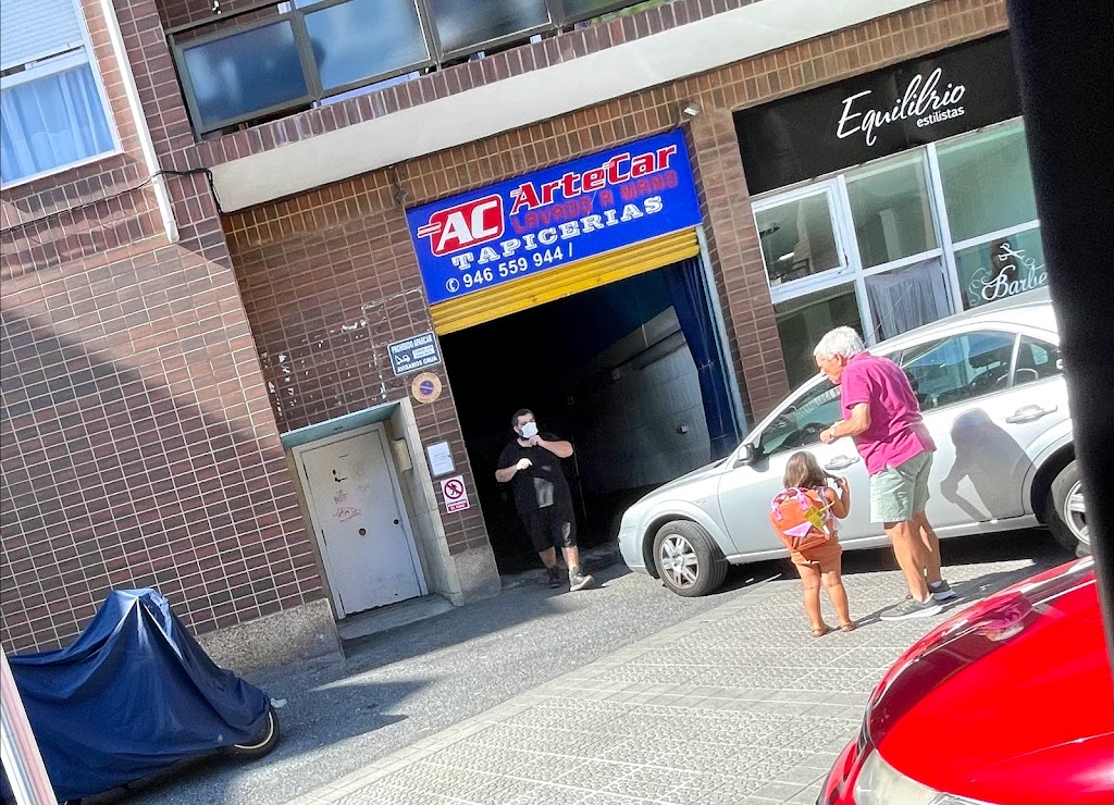 Artecar Lavado de Coches A Mano