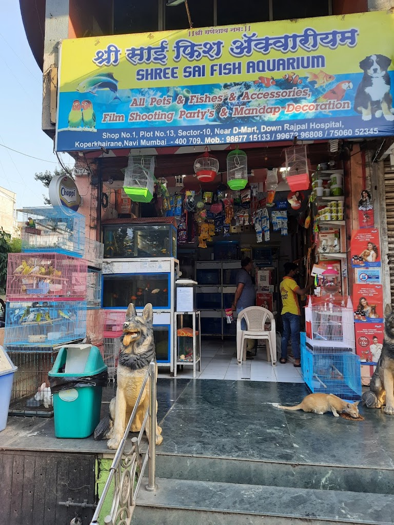 Shree Sai Fish Aquarium & Pet Shop