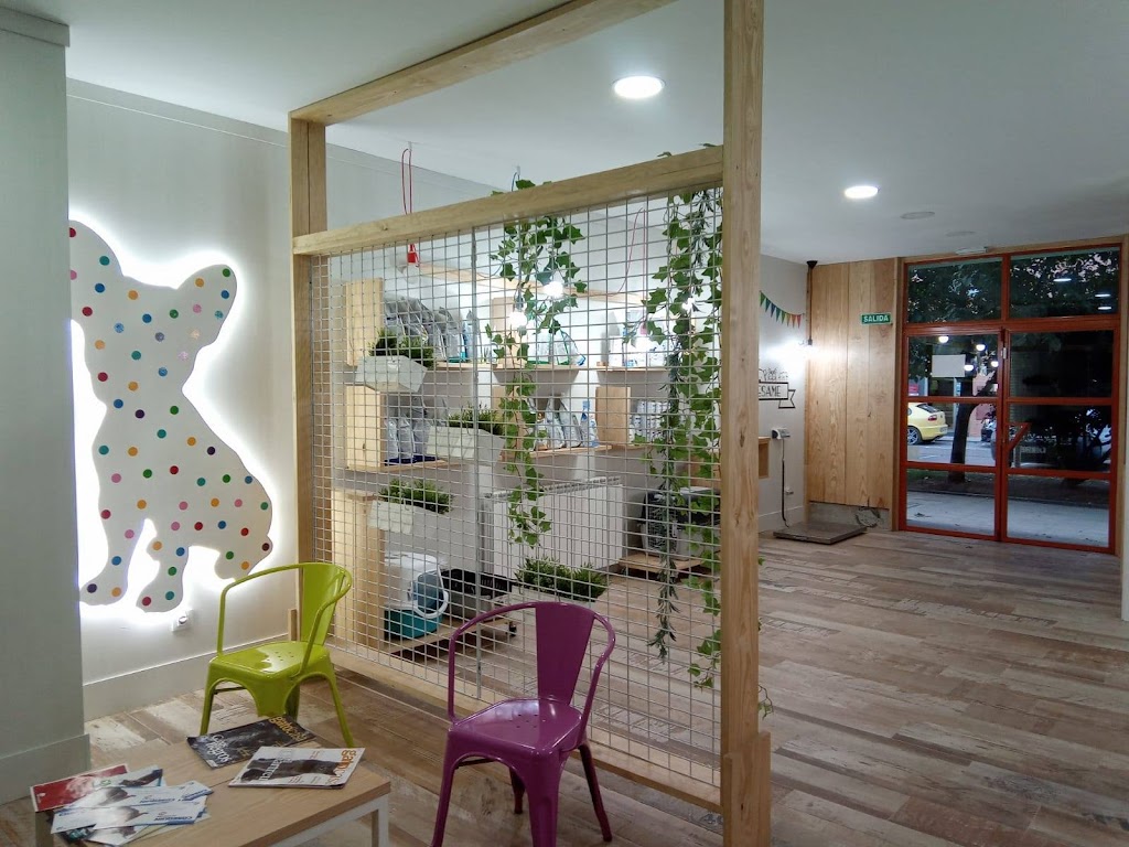 Clinica Veterinaria Elena Saenz