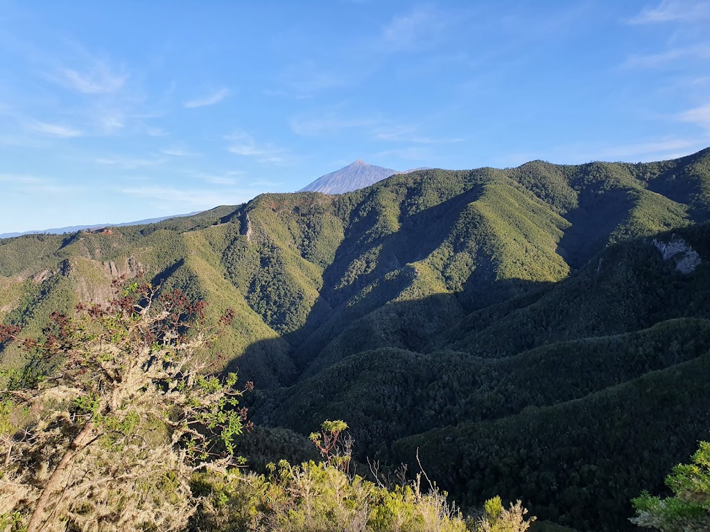 Monte del Agua