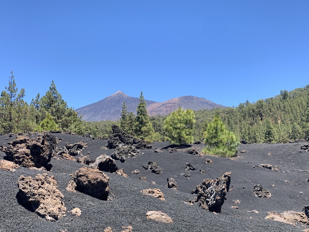 Sendero del Chinyero