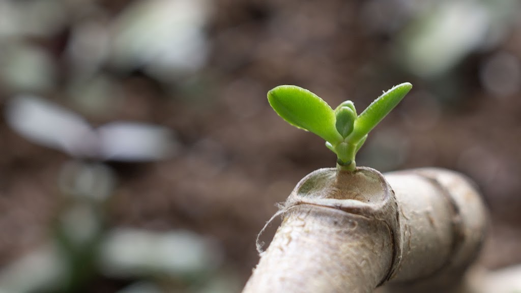  Open Way Yoga Studio