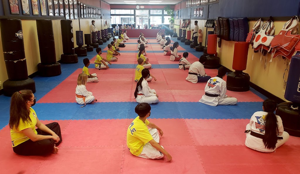  Flying V Martial Arts