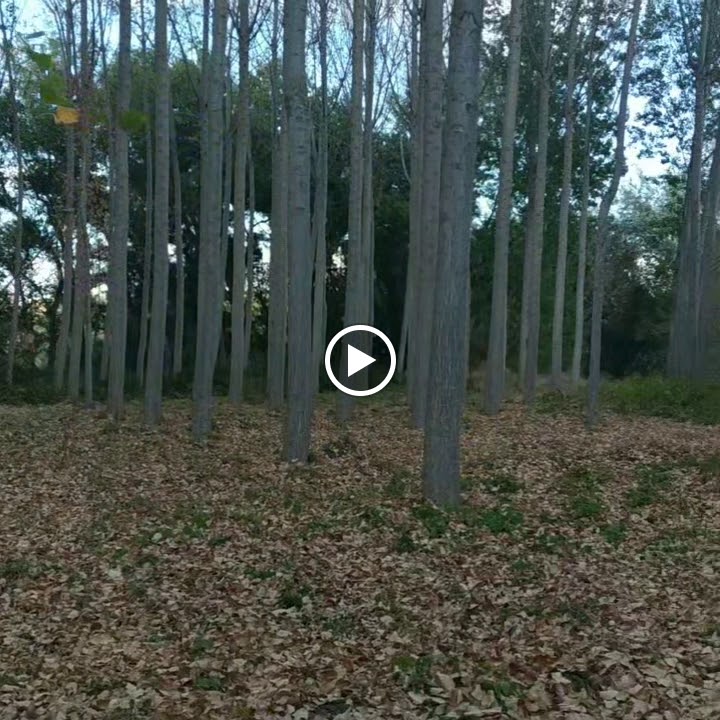 Winter Cerveceria — Videos