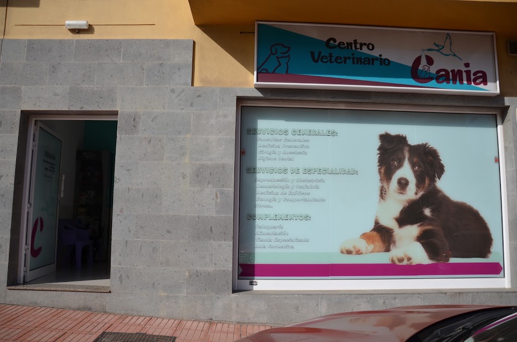 Centro Veterinario Cania — Del propietario
