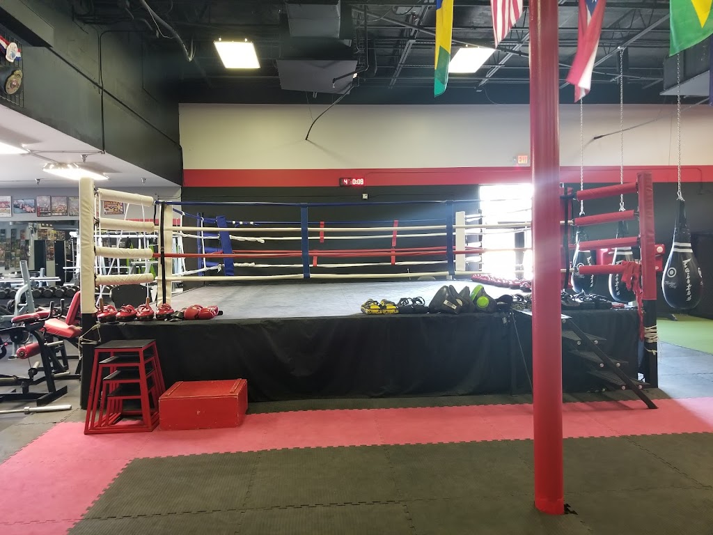  Elite Muay Thai & Fitness