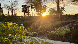 642abb37a99b7dfe5fea696c 的照片