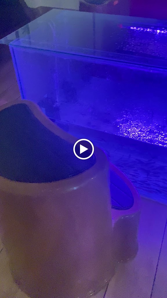 Videos