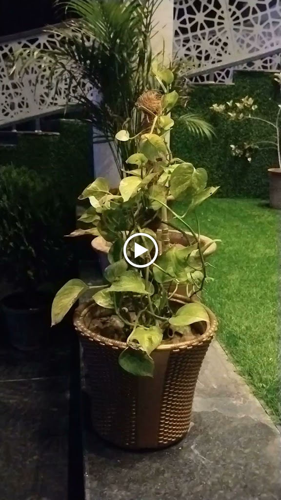 Videos