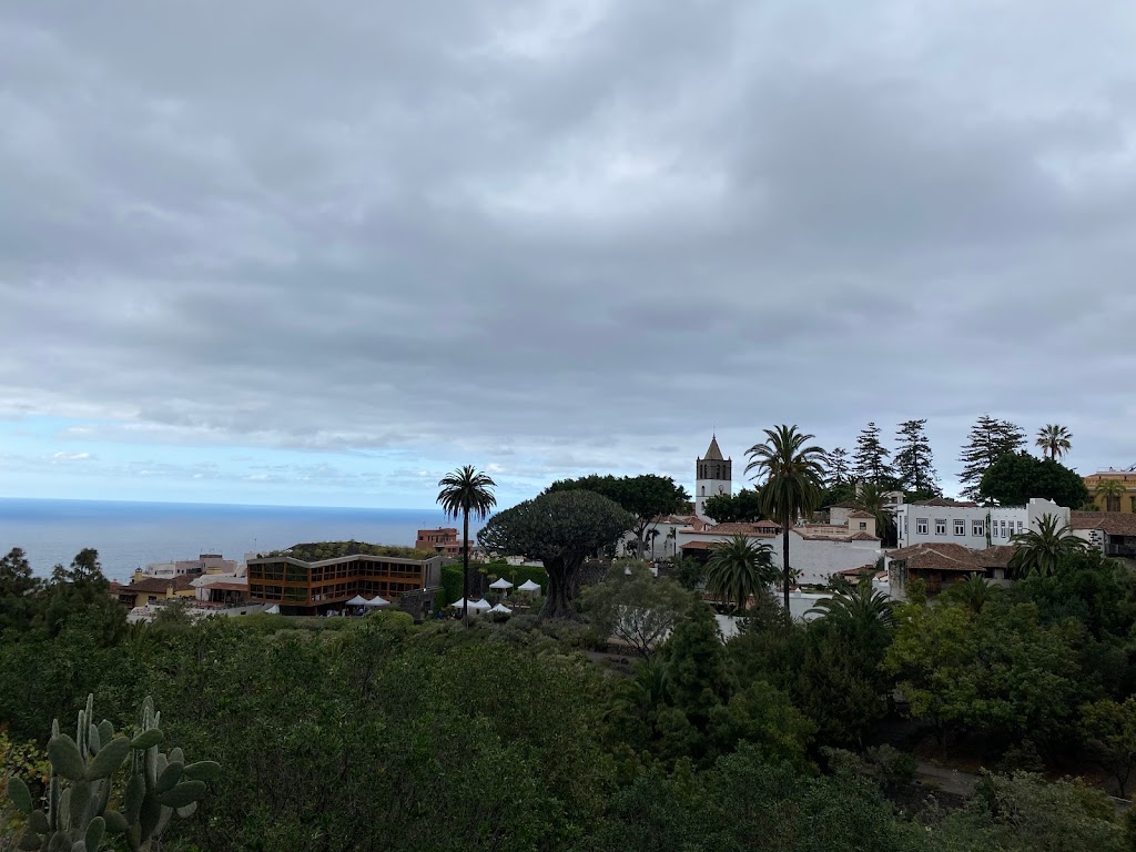 Paseo Hasta Icod de Los Vinos