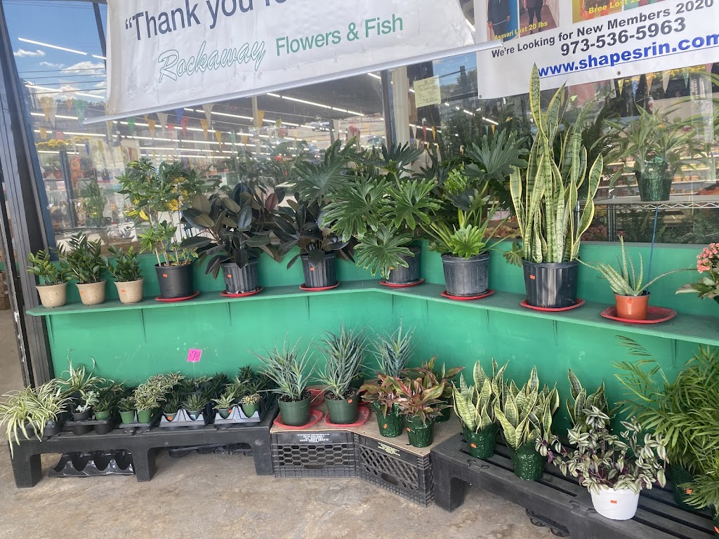 Rockaway Flower Design