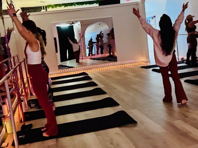  ALCHEMY X South Jersey