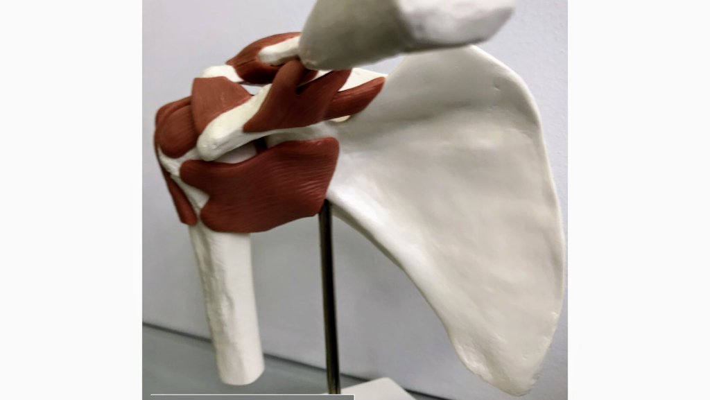 Fisioterapia Avanzada Yanira Fernandez LALIN