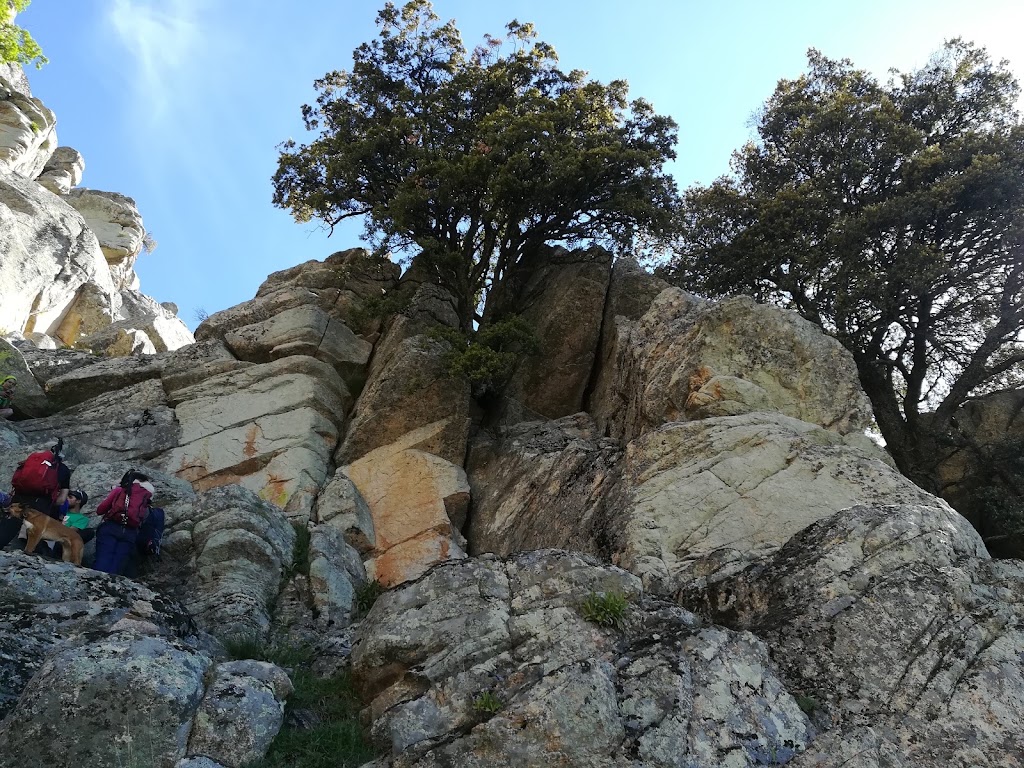 Ruta de las cabras