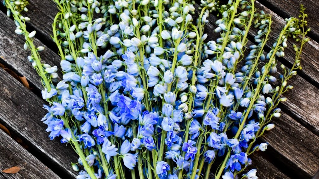 Flowers By the Bunch